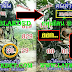 มาแล้ว...เลขเด็ดงวดนี้ 2-3ตัวตรงๆ หวยทำมือ คนล่าฝัน งวดวันที่ 16/8/61