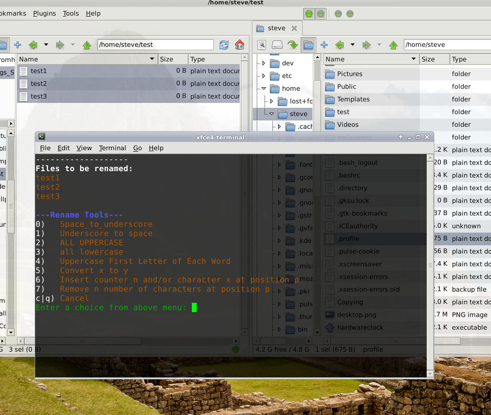 linux mass rename files linux mass rename files