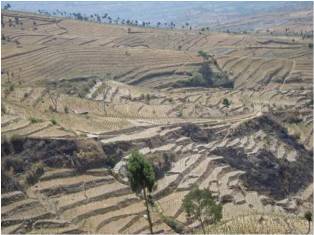 PENGERTIAN KONSERVASI TANAH DAN AIR - BERBAGI ILMU PENGETAHUAN