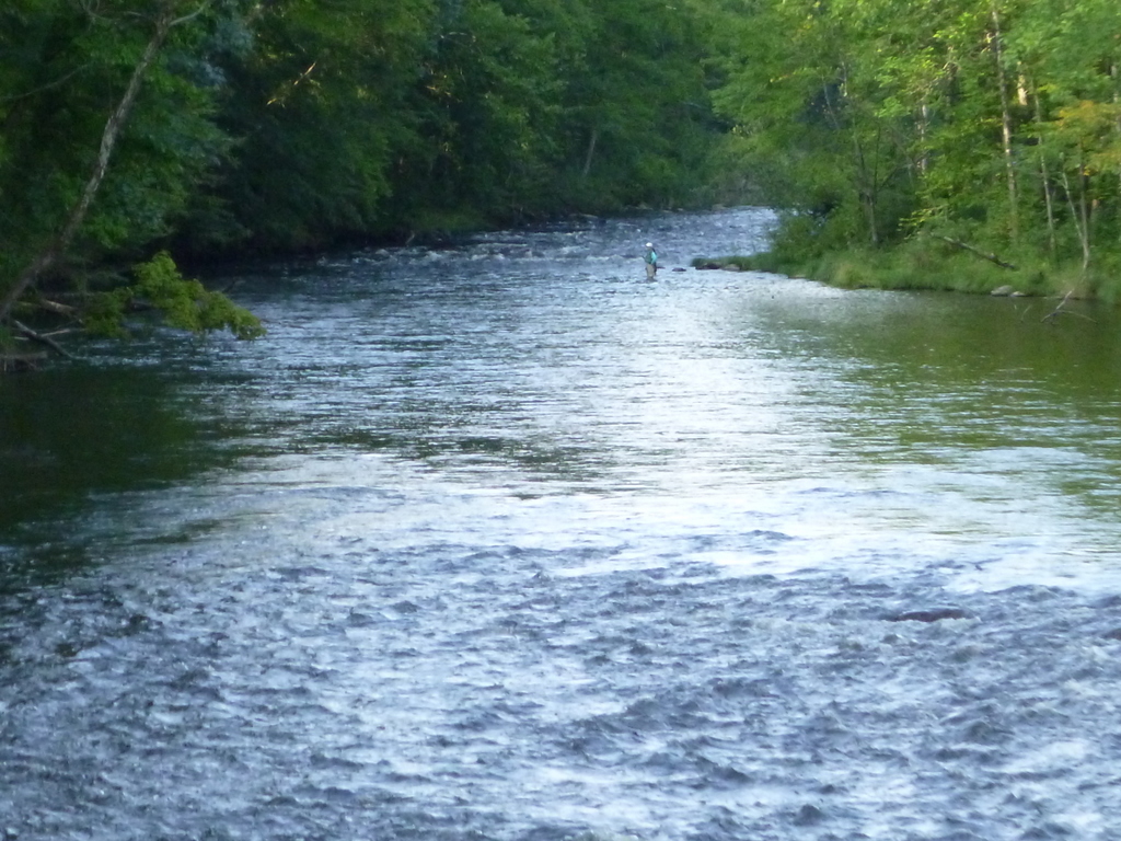 Going to the water Tenkara Fishing in the Farmington River, CT
