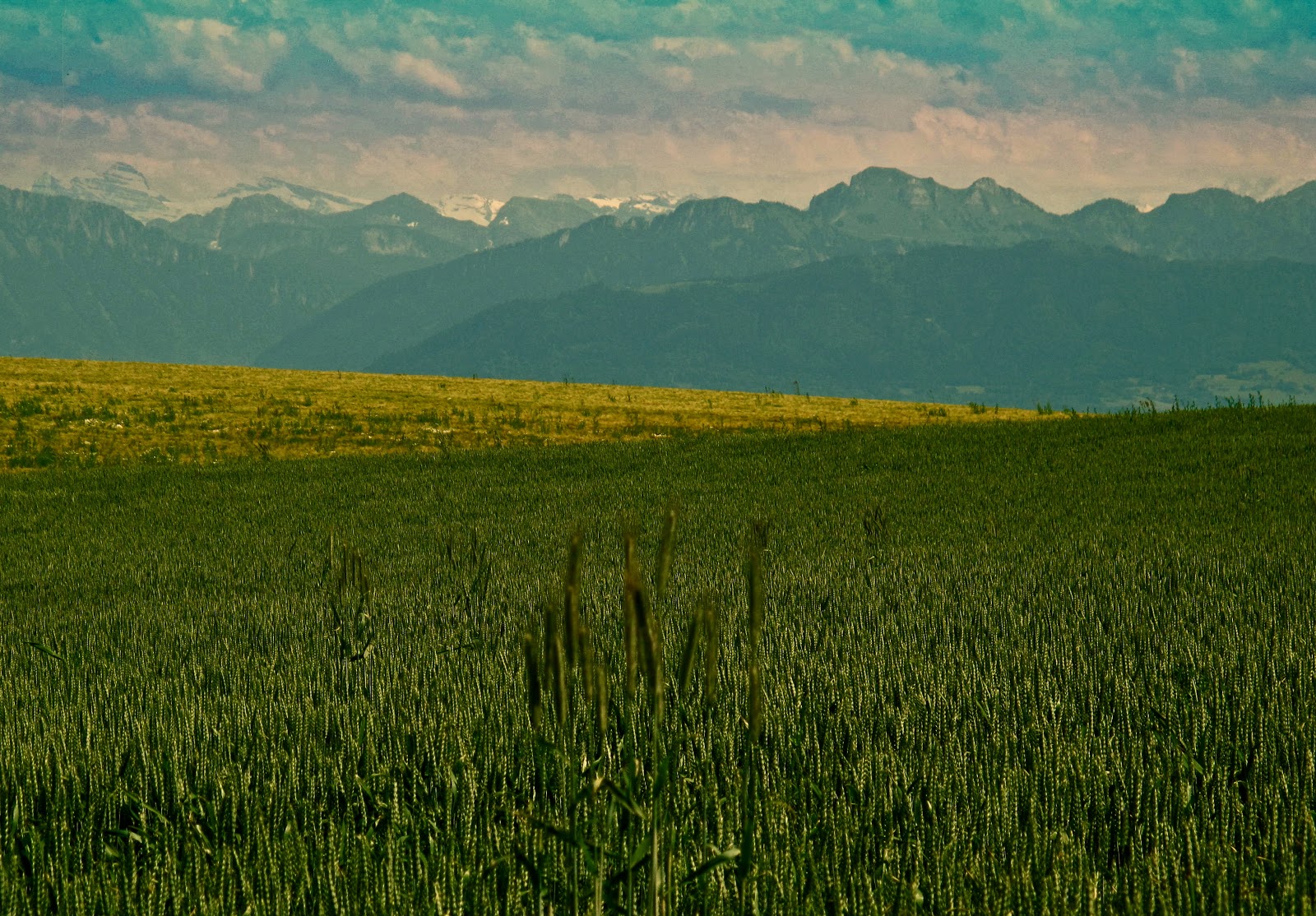 Linda Lost in Switzerland Apartment for rent in Essertines