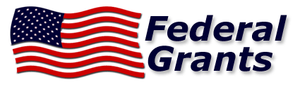 Www grant. Government Grants. Federal Agency for Civic Education. Government Grants uk.