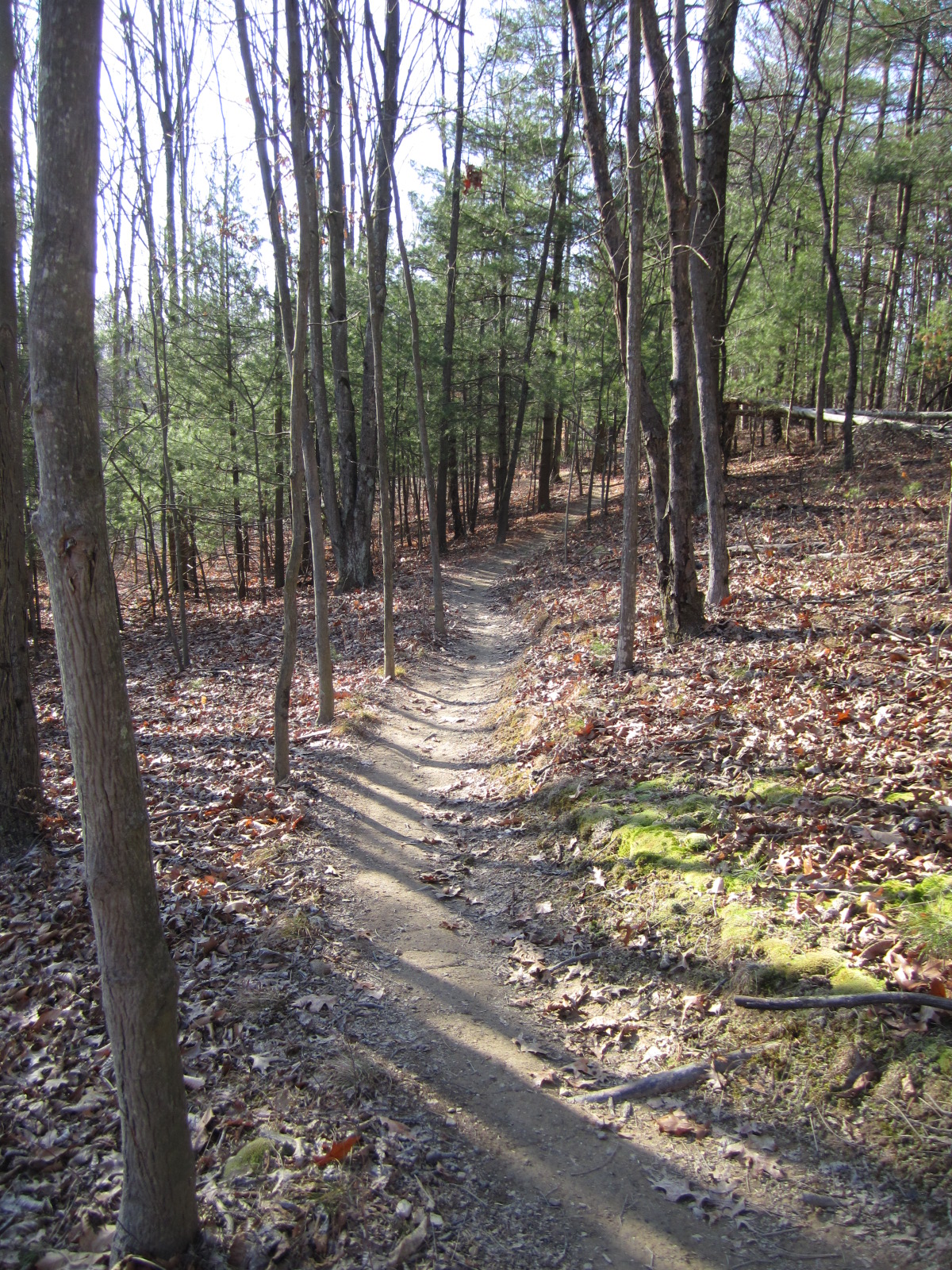 alum creek bike trails