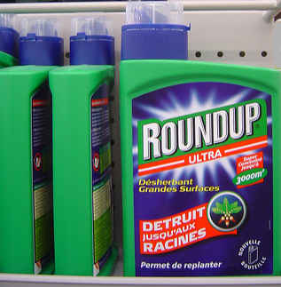 gm-free-scotland-safe-as-salt-not-roundup