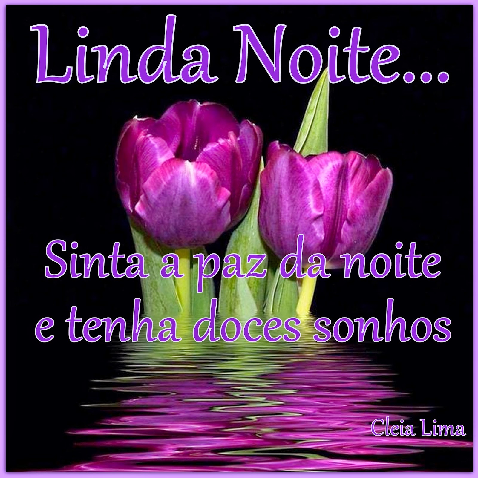 BOA%2B%2BNOITE%2BSINTA%2BA%2BPAZ!.jpg