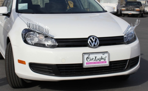 car lashes