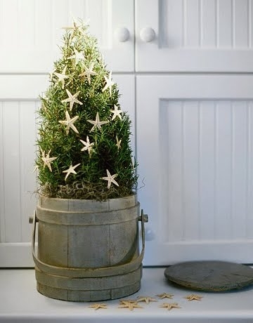 potted mini Christmas tree in old pail