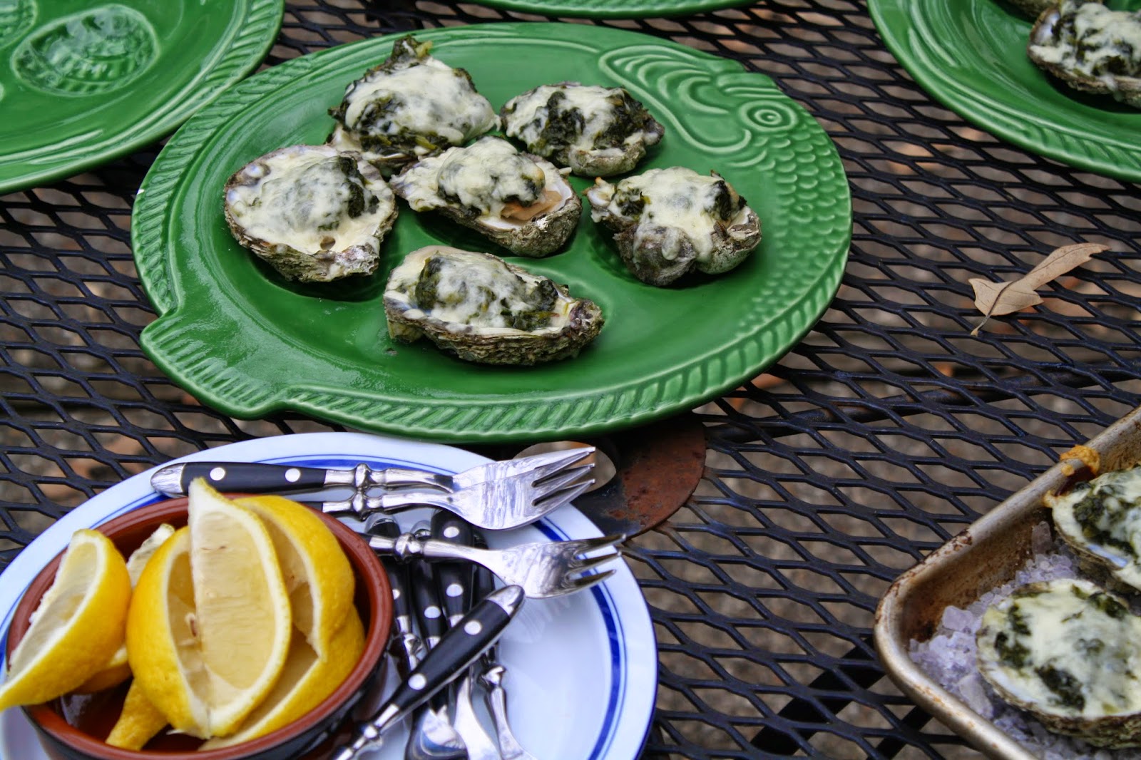 MANGO and GINGER Want Bulls Bay OYRO