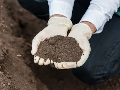 OHIO NOTEBOOK: Learn how to test your soil at Aug. 31 Field Day - View ...