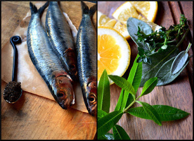 Manfaat Ikan Sarden Untuk Kesehatan