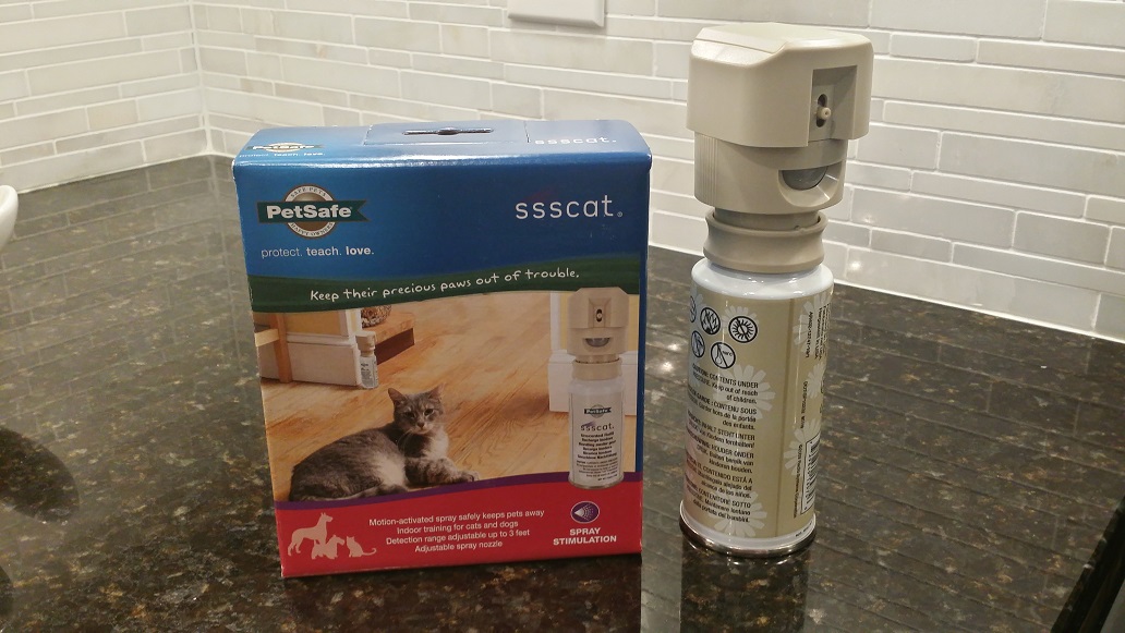 How To Keep Cats Off Counters - change comin