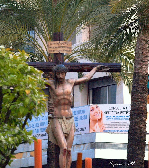 Fotos del Domingo de Ramos 2012. Semana Santa Jerez de la Frontera