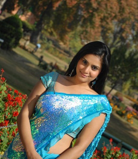 INDIAN ACTRESS: Divya Spandana dual color saree backless blouse at ...