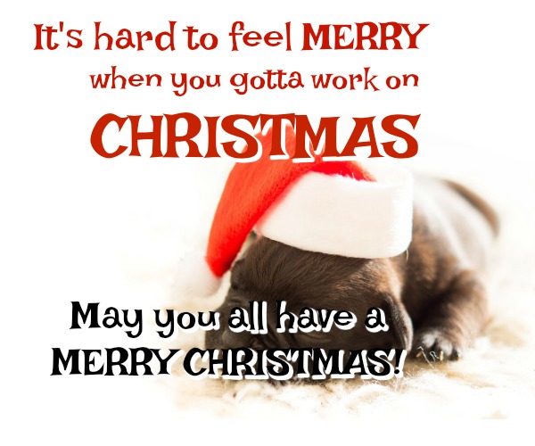 funny christmas wishes funny christmas wishes