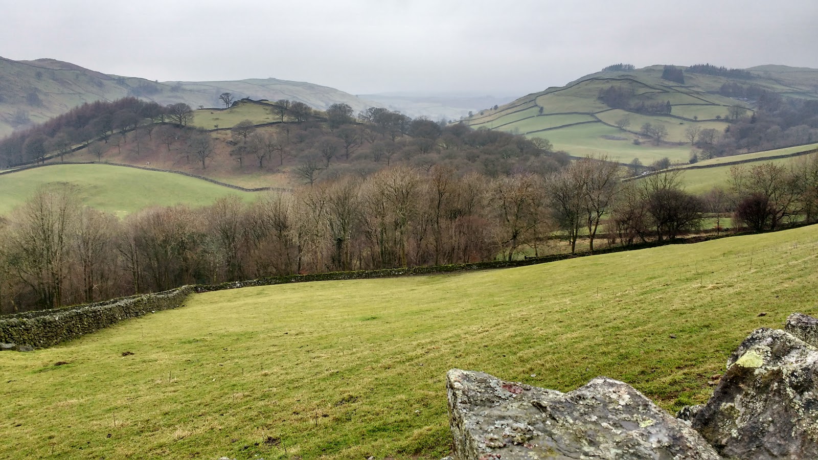 Julia Hedge's Laces A Sunday Walk From Staveley.