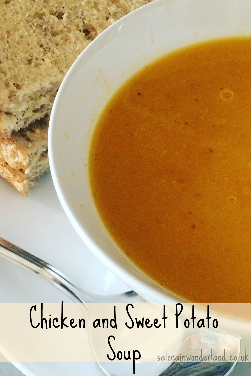 Saloca in Wonderland Homemade Chicken and Sweet Potato Soup