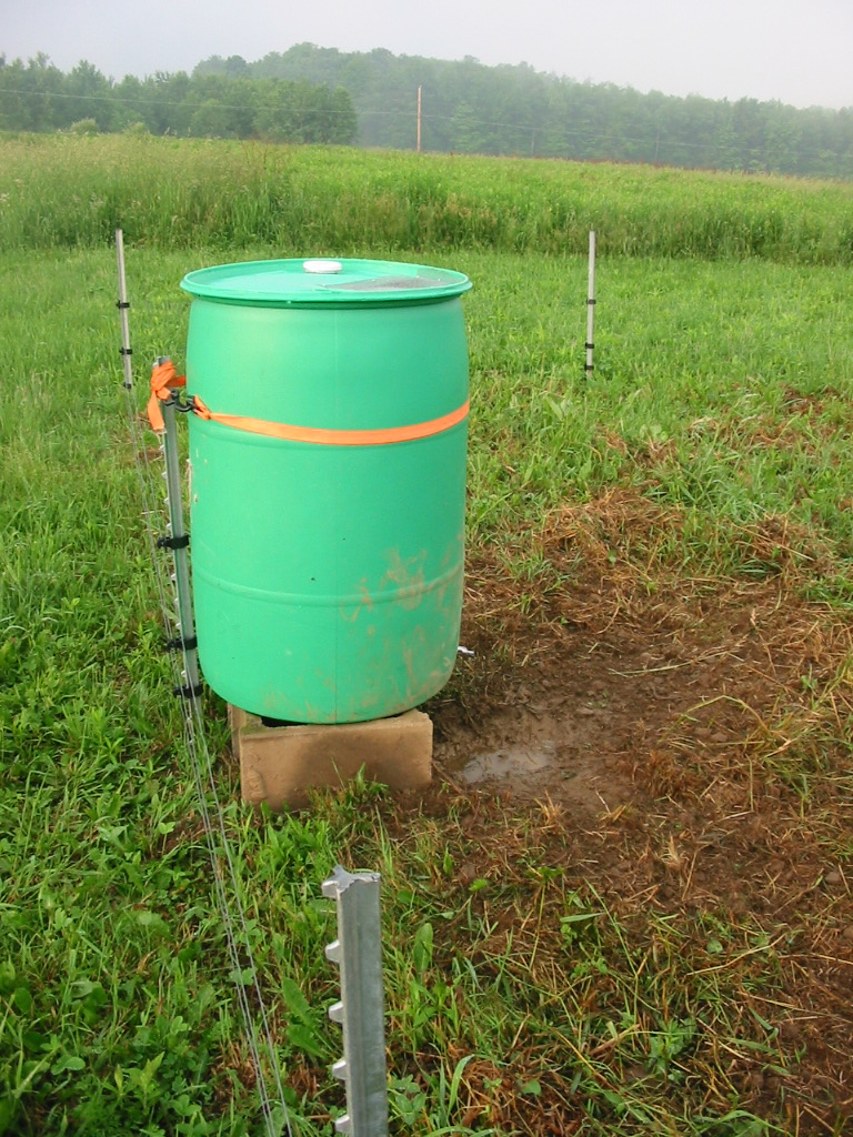 Fitzgerald's Family Farm New Pig Watering System
