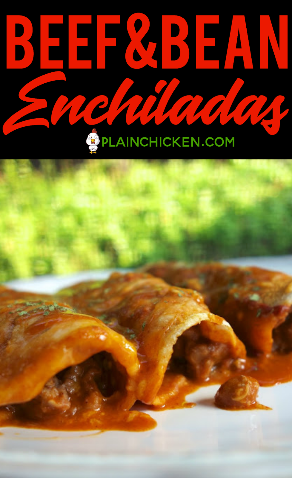 Beef and Bean Enchiladas Plain Chicken®