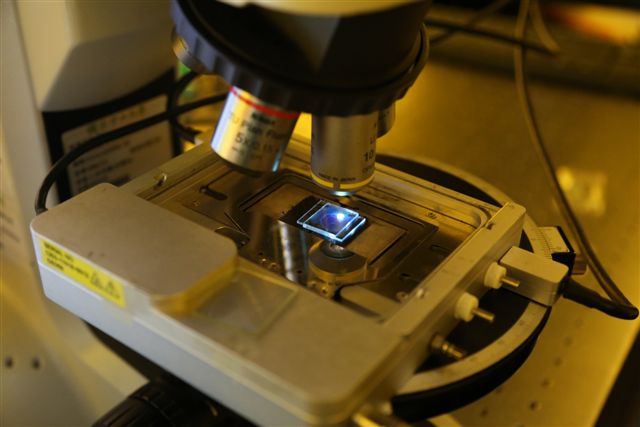 中山大學光電系特聘教授林宗賢團隊研發全球最大光子晶體，成果登上國際頂尖期刊「自然通訊」（Nature Communications）。