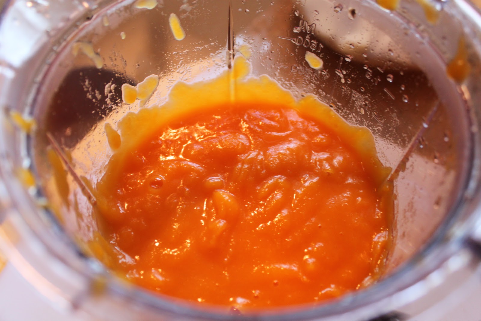 thatssewnina-diy-baby-food