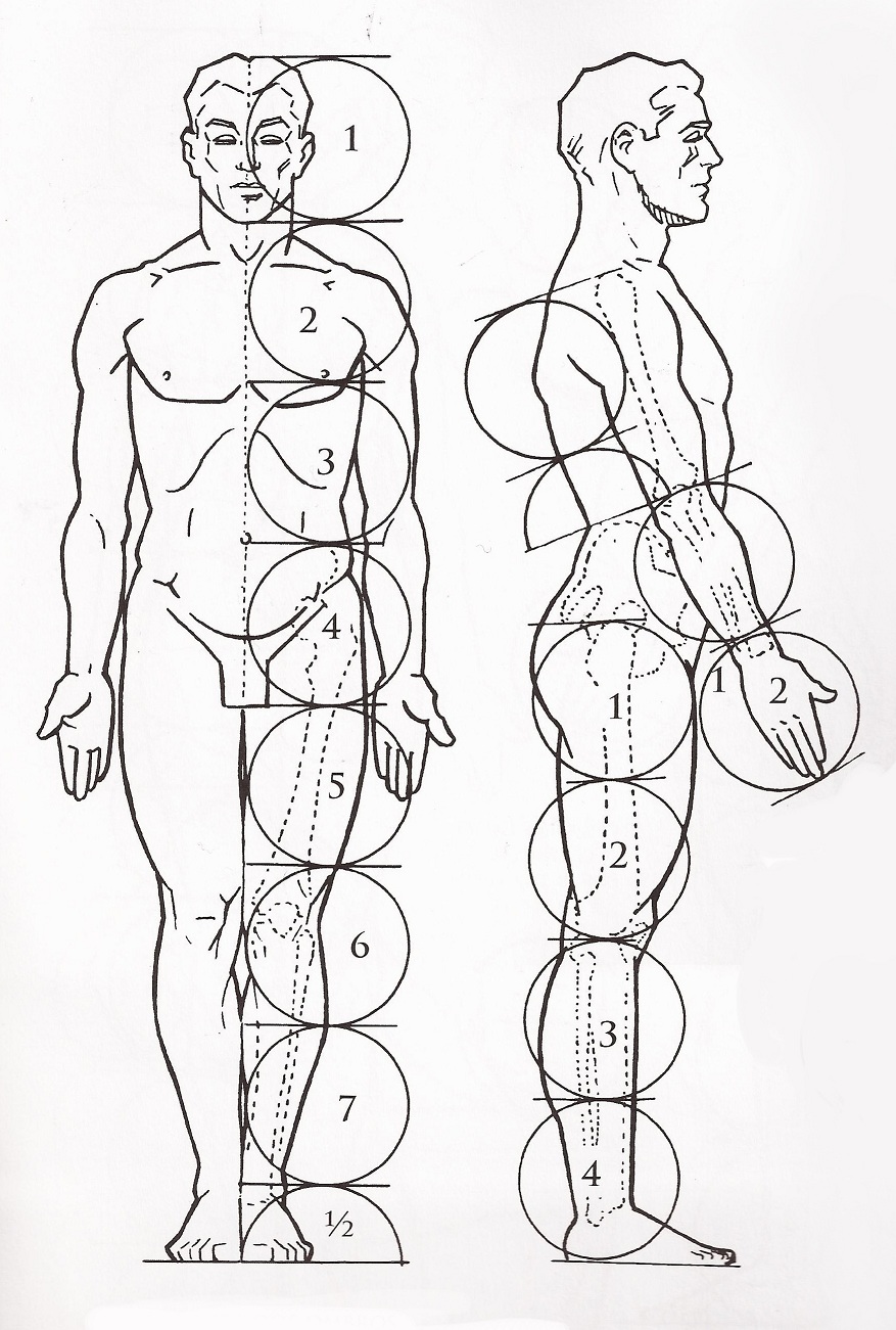Desenhando o corpo humano usando blocos tridimensionais – Blog da AreaE