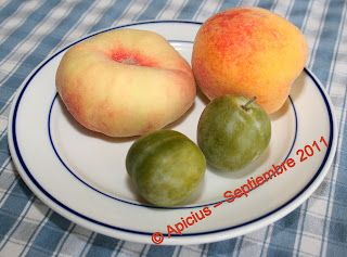  808º Menú, Plato combinado y fruta 