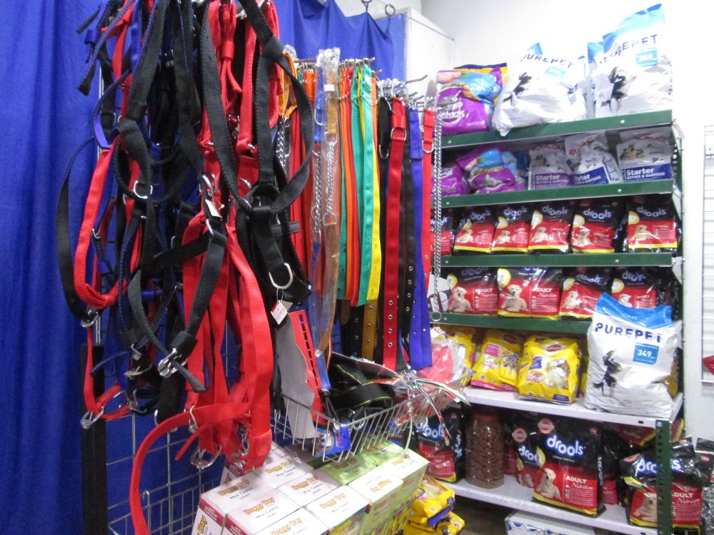 Hearty Paws Pet Clinic Tiruvannamalai ARUNACHALA GRACE