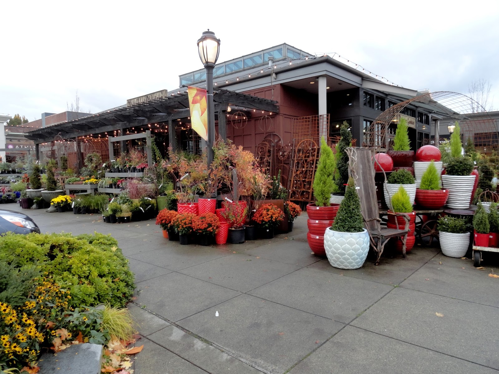 danger garden Ravenna Gardens, it's been awhile...