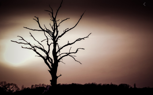 Arti Mimpi Makan Ikan Asin Menurut Primbon Jawa Pendapat Ulama Serta Adab Bermimpi Buruk Makna Dari Sebuah Mimpi