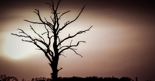 Arti Mimpi Makan Ikan Asin Menurut Primbon Jawa Pendapat Ulama Serta Adab Bermimpi Buruk Makna Dari Sebuah Mimpi