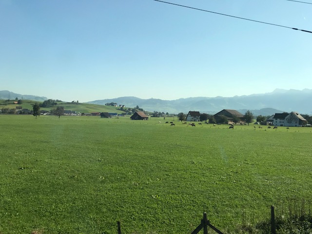 スイス鉄道の車窓から見たスイスの風景さすが酪農王国