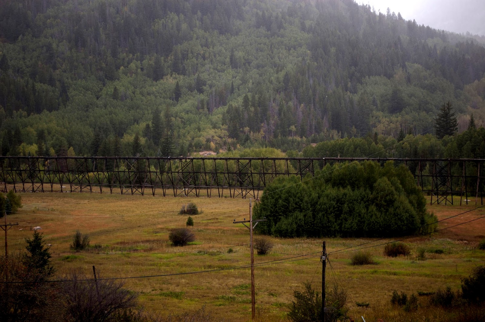 Colorado Springs Real Estate Black Forest Real Estate Colorado Springs Realtor