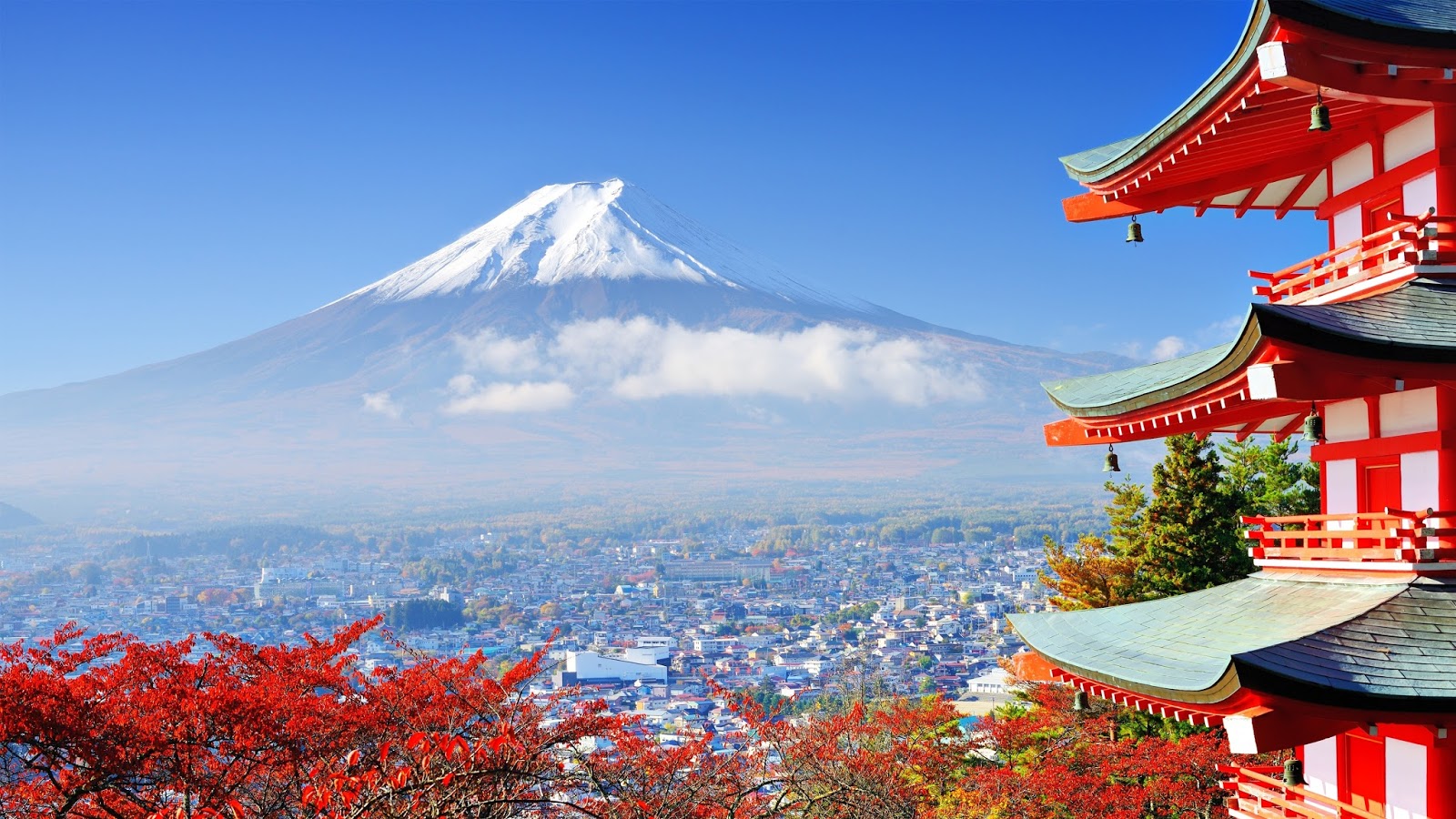Interesting Facts about Japan ! Tours Panda