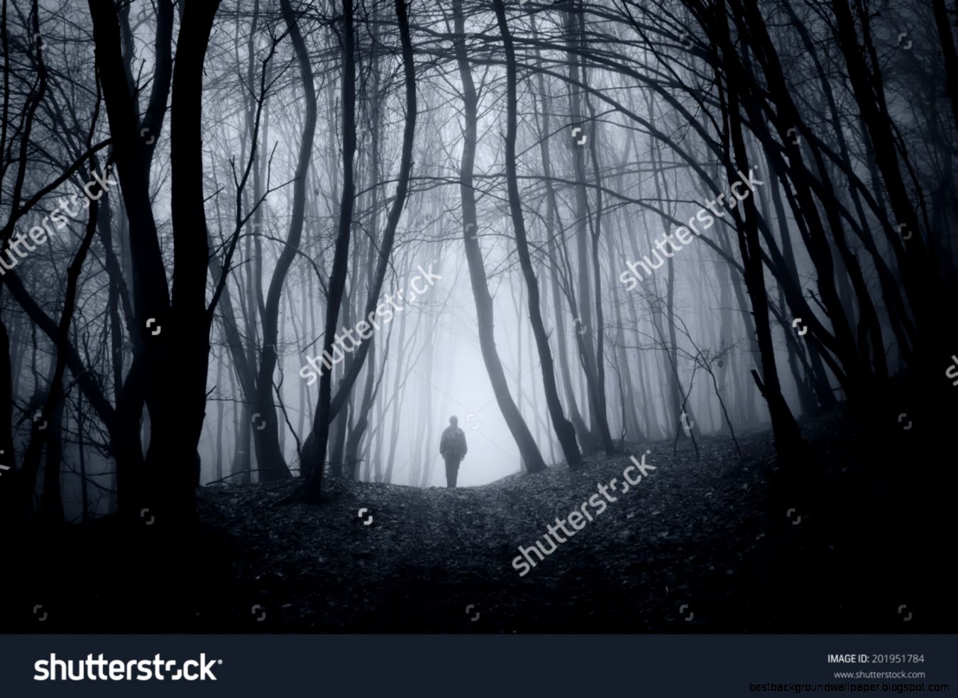 Man Walking On A Dark Path Through A Spooky Forest Stock Photo