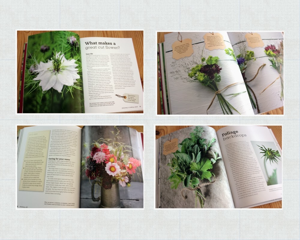 The Urban Veg Patch Book review The Cut Flower Patch by Louise Curley