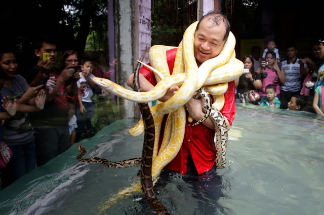 Homem dorme com cobras para celebrar ano novo chinês