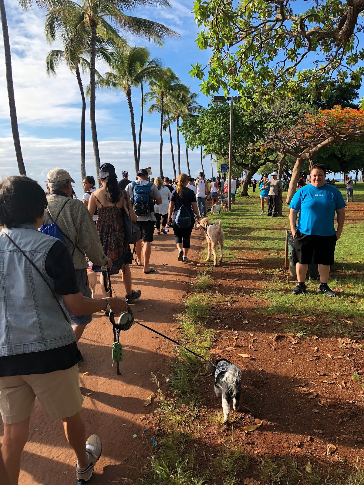 GREAT EATS HAWAII HONOLULU HUMANE SOCIETY ANNUAL PET WALK