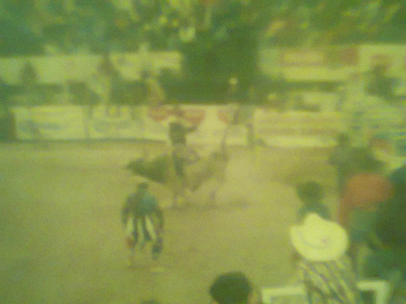 El Rodeo: noviembre 2013