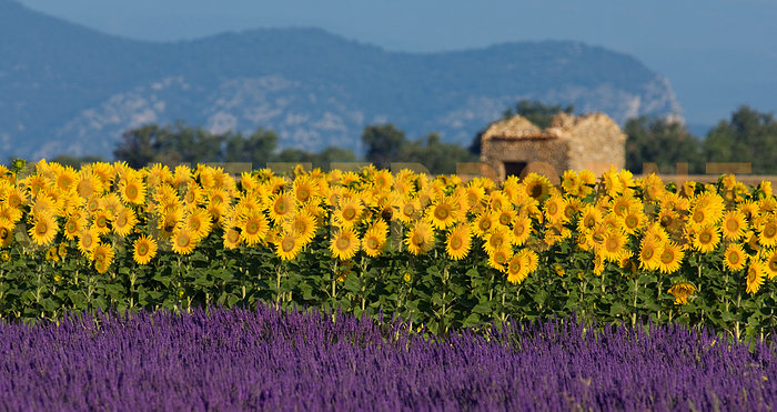 Provence, France get aways
