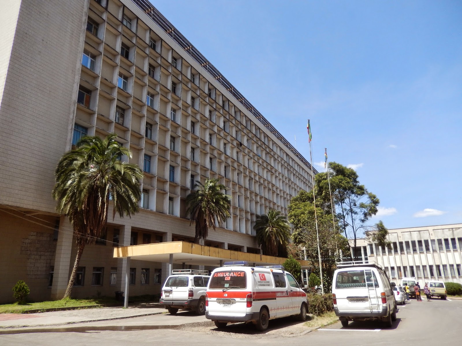 Partners Center of Expertise in Global and Community Health Toward