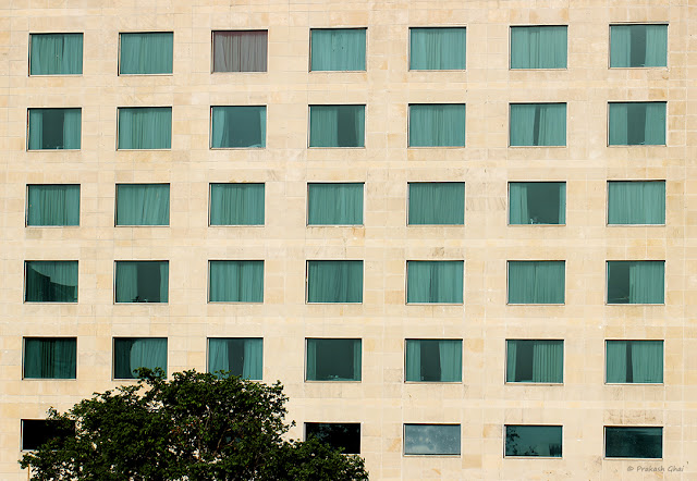 Windows of a building in Jaipur in repetition, creating a nice pattern that gets broken by the placement of the Green Tree on the bottom left corner of the Minimalist frame.