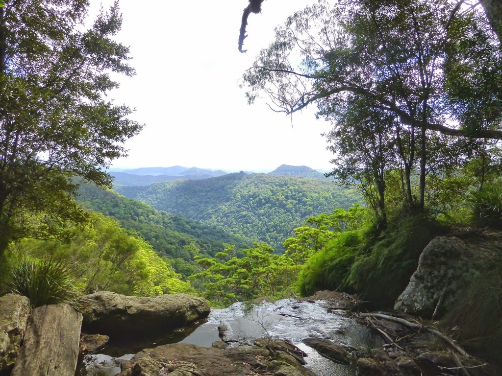 National Park Odyssey: Springbrook National Park, QLD. Part 2: Twin Falls.