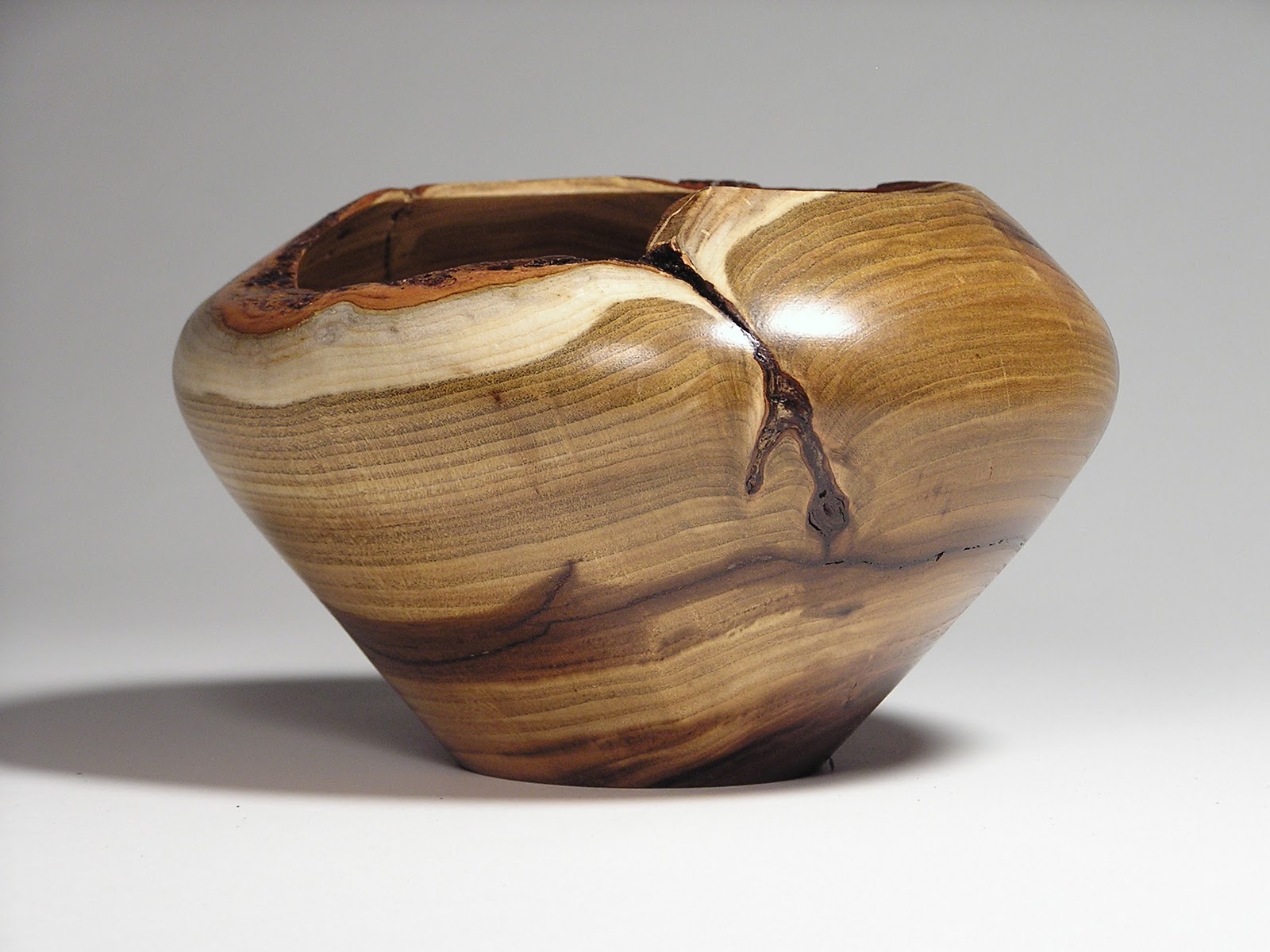 Discovering Wood Redbud 2