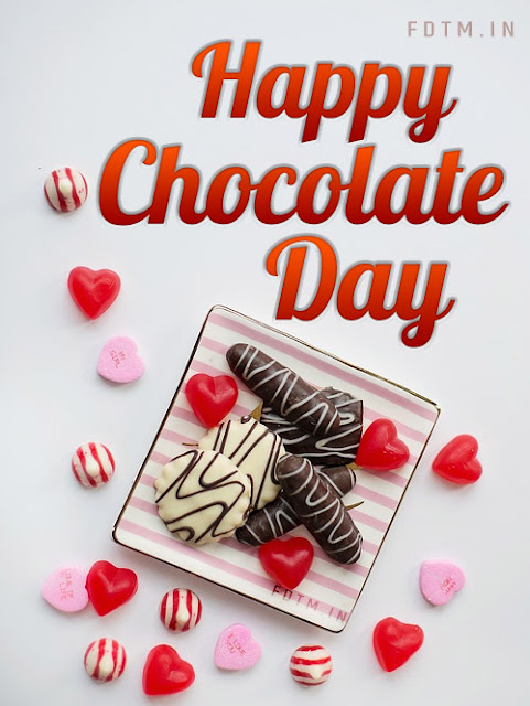 Chocolate Day Wallpapers Free Download - Happy Valentine Day
