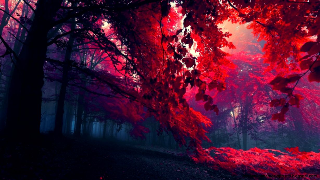 Rich wallpaper image collection website