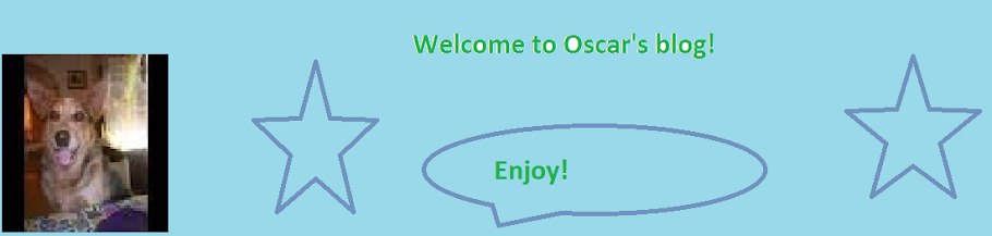 Oscar's Blog!