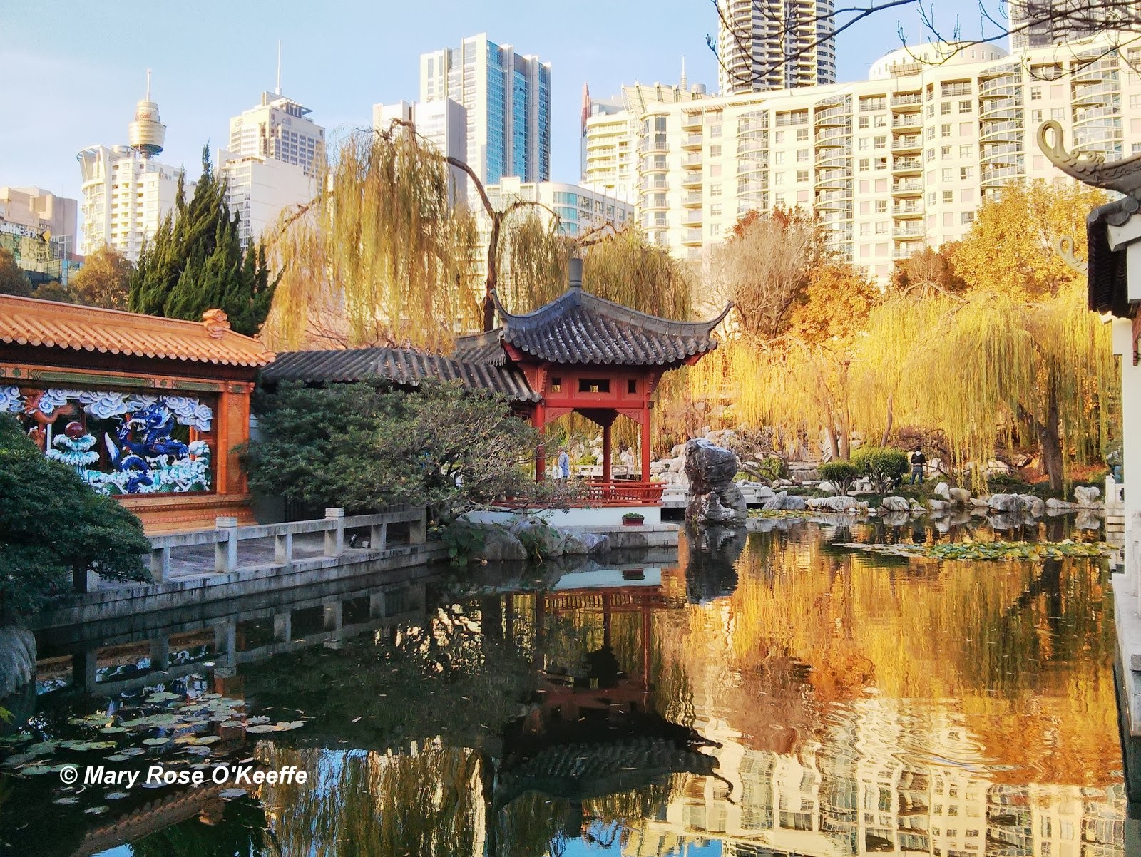 Raw Birds CHINESE GARDEN OF FRIENDSHIP, Pier Street, Darling Harbour
