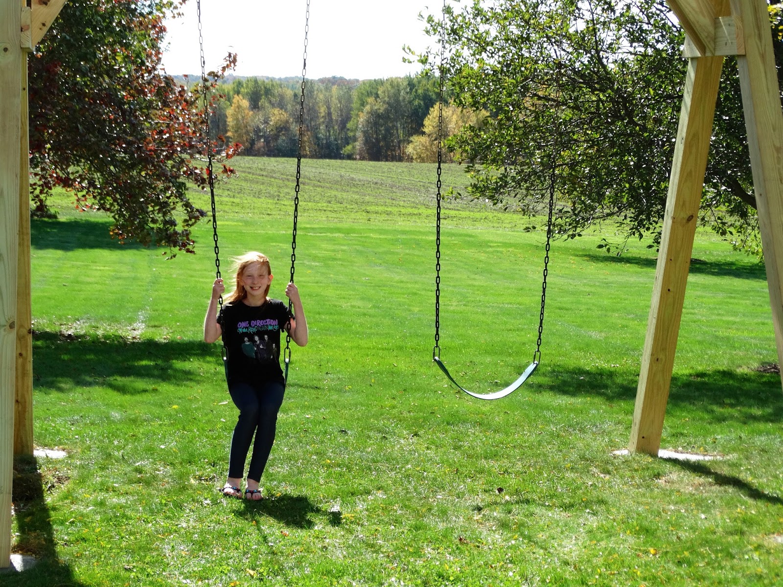 Marvelous Big Backyard Swing Set