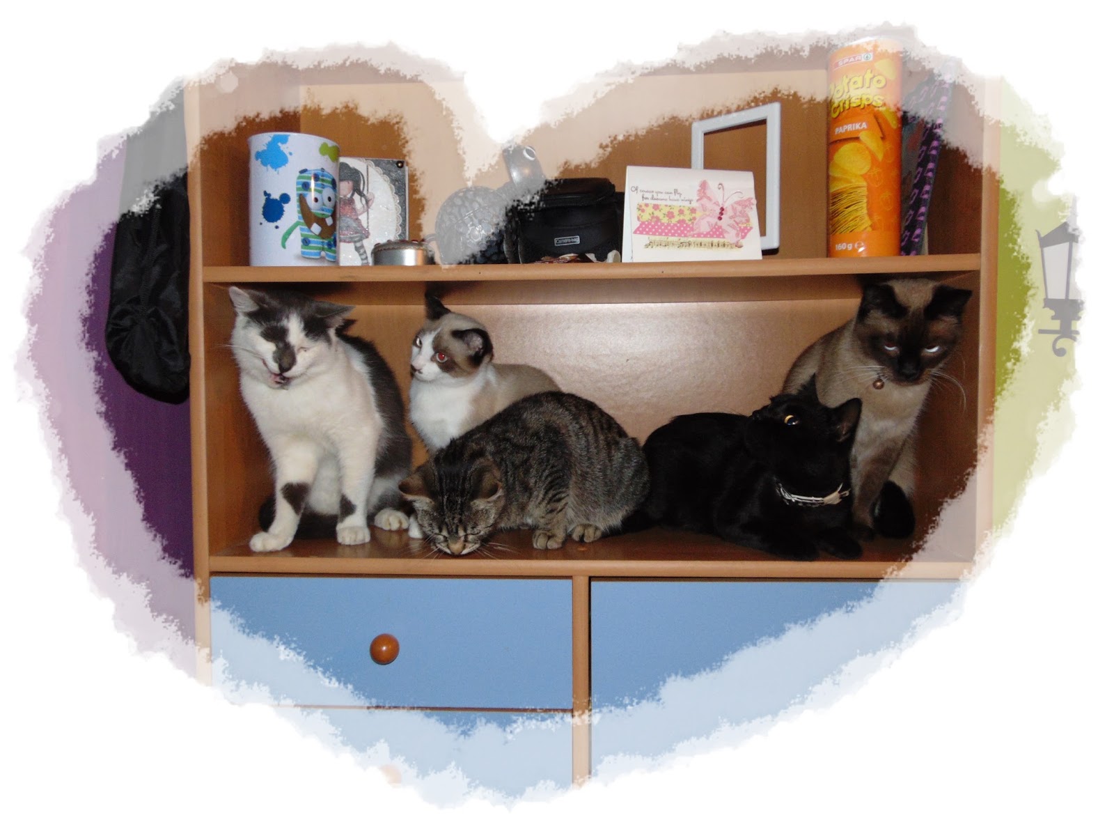 cat lovers blog hop day 2,card 2 Bad Kitty's Craft Room