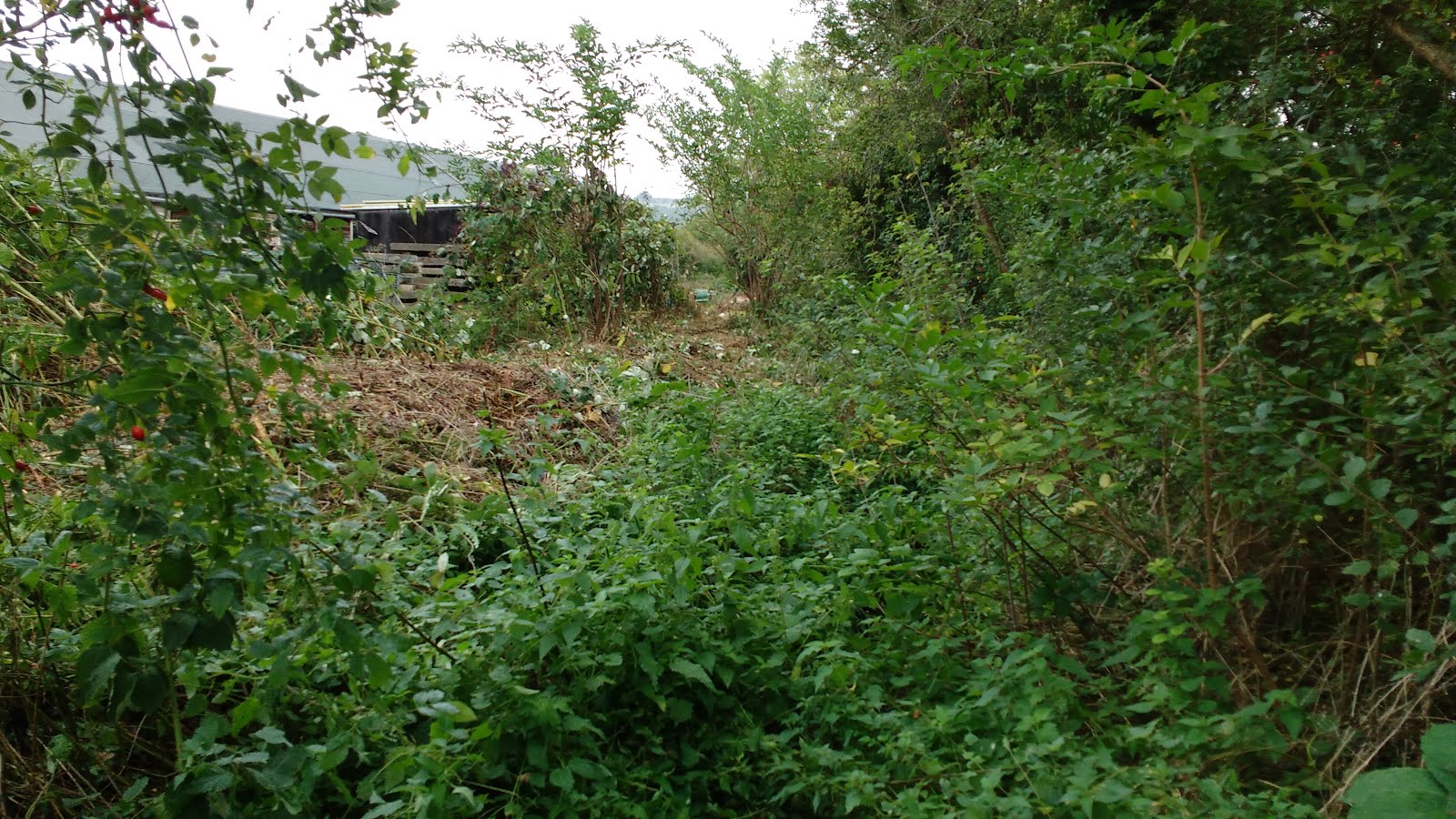 GWSR Estates Management — Drainage Stopping at Toddington and